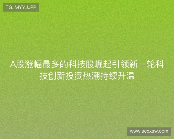 A股涨幅最多的科技股崛起引领新一轮科技创新投资热潮持续升温